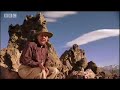 Amazing survival of micro organisms - We Are The Aliens - BBC Space Amazing survival of micro organisms - We Are The Aliens - BBC Space