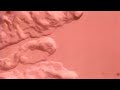 Amazing survival of micro organisms - We Are The Aliens - BBC Space