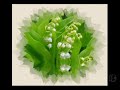 Un brin de muguet 2008