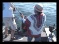 Salmon Fishing Lake Ontario Salmon Fishing Lake Ontario