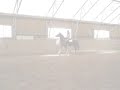 Riding Newton