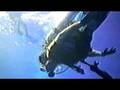 Scuba diving - Molokini & Turtle Town
