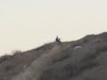 getting it done with my kx450f again..