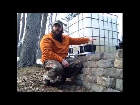 how to collect maple syrup