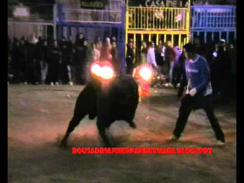 Fiestas taurinas