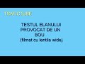 Testul elanului