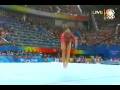 Shawn Johnson. Olympic Champion. Why Don't You Just Dream Again?