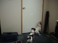 champ and bailey