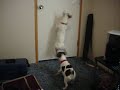 champ and bailey