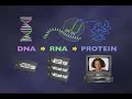 RNA - Catalysts, Chemical and Biochemical (3-6)