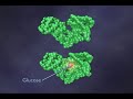 RNA - Catalysts, Chemical and Biochemical (3-6)