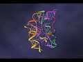 RNA - Catalysts, Chemical and Biochemical (3-6)