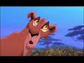 Zira/Simba - Chelsea