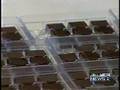 NOKA Chocolate - How Luxury Chocolate is Made