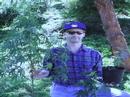 grandpas pot book part 4