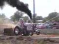 International Pulling Tractor 1066 #2