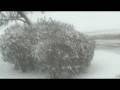 videos de winter blaze in university park