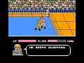 Nintendo - Tecmo World Wrestling