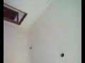 Ping-pong