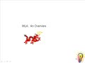 MLA documention 1