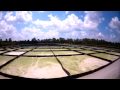 PetroAlgae -A leading renewable energy company