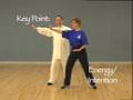 Dr. Yang Yang's Evidence-Based Taiji (TM) and Qigong Program