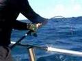 Jigging Three Kings ジギング スリーキングのヒラマサ