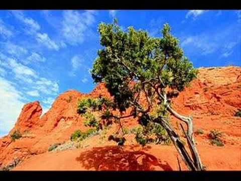 J P Moreland Kingdom Triangle 8 of 9