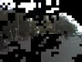 MVI_0051.flv MVI_0051.flv