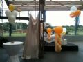 Ballonnen - YouTube