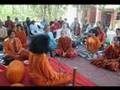 Kriya Mahavatar Babaji Blessed Banyan Tree- Allahabad,India