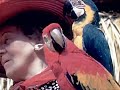 Exploring America : Harmony in Florida - 1942 Educational Film
