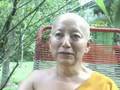 Ven. Dhammavuddho 30 - The true Dhamma