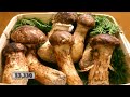 Most Expensive Food