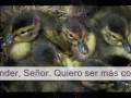 videos de Entrega total con voz