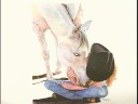 Giclee Art Reproduction Tips : Giclee Art Reproduction Equipment
