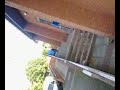 Mitch ryder ollie down 5set at co-op