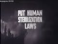 Deca sutrasnjice, igrani film o nasilnoj sterilizaciji ljudi
