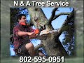 N & A Tree Service, Barre, VT