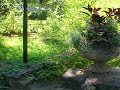 Front Yard Tour Front Yard Tour