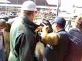 2008 Alta-California AI Class at CVC High School Part 4 of 9