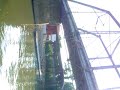 bridge jumping