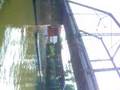 bridge jumping