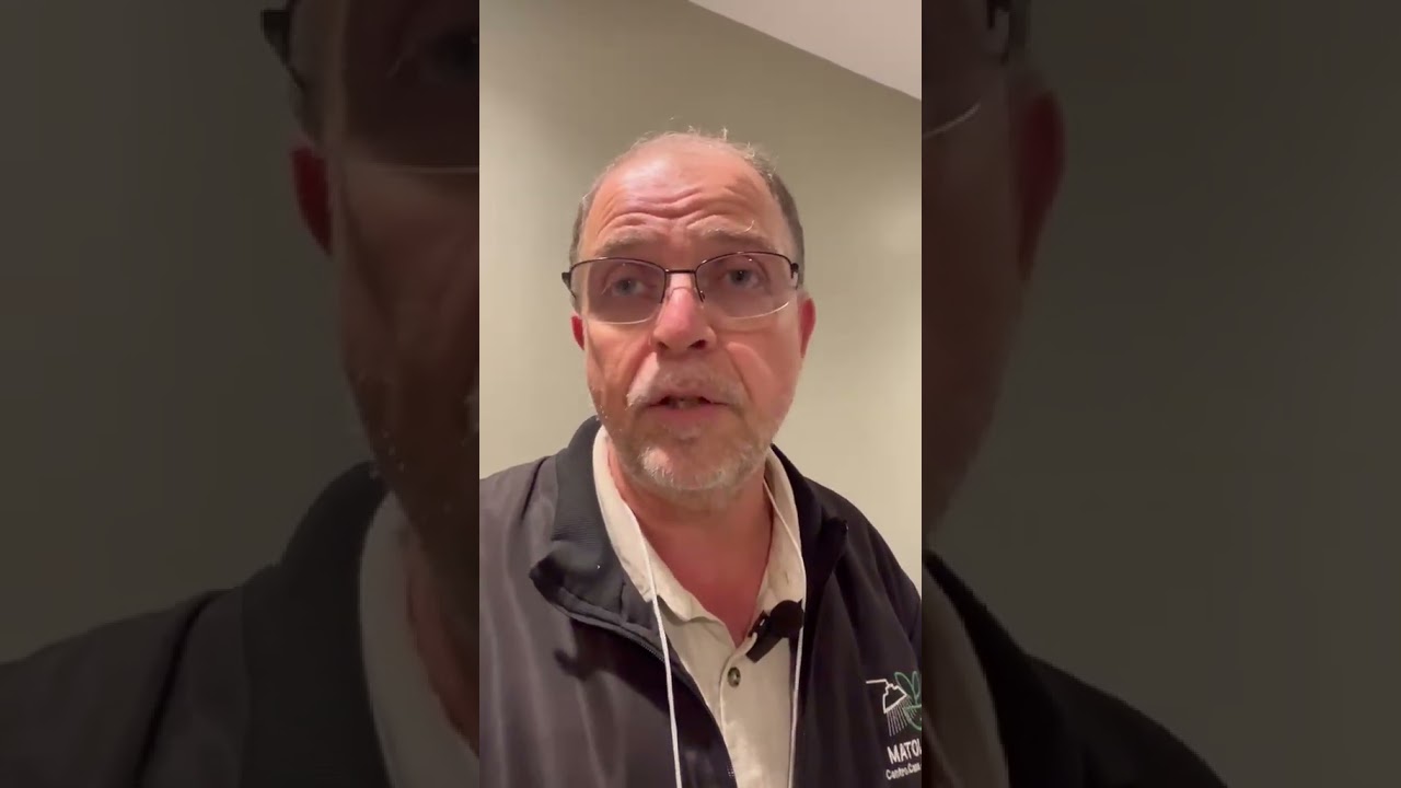 Gramíneas invasoras podem reduzir produtividade da cana
