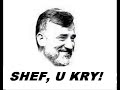 Menduh Thaci (sheff,u kry)