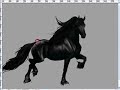Painting a Friesian horse in Photoshop - Part 1
