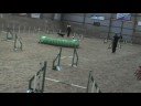 Chilli og Rie i sp1 i ribe 12-10-2008