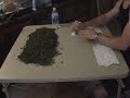 !!! 1 marcinjas joints !!!
