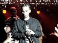 arcangel en montreal  bonita 
