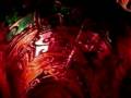 Video-art Tahar Ouamane ; POEMES NACRES